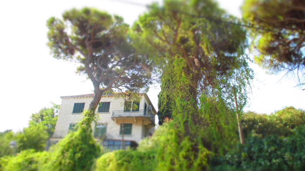 Apartment Dubrovnik Surprise Eksteriør billede